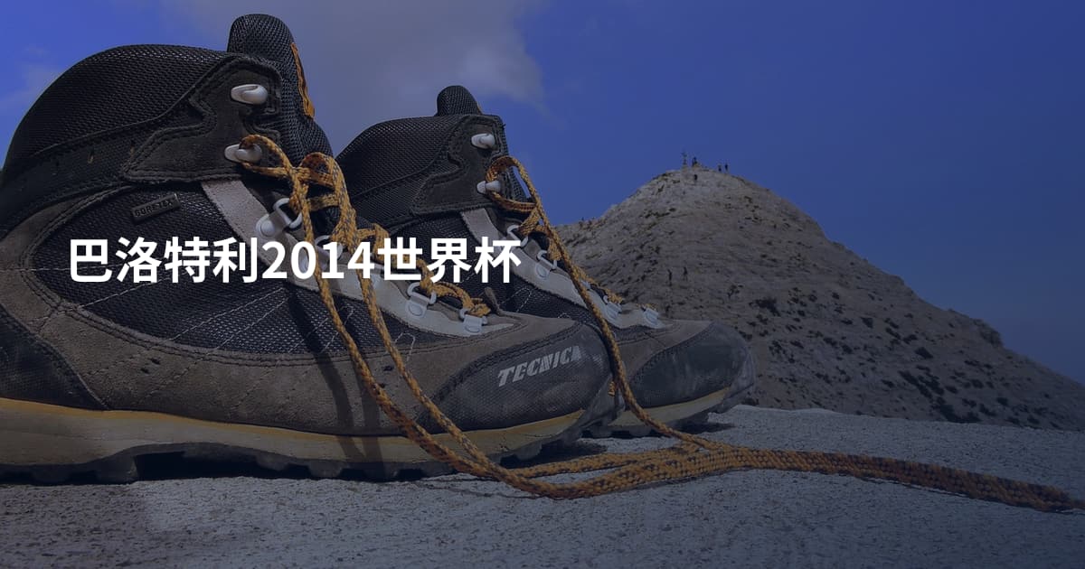 巴洛特利2014世界杯