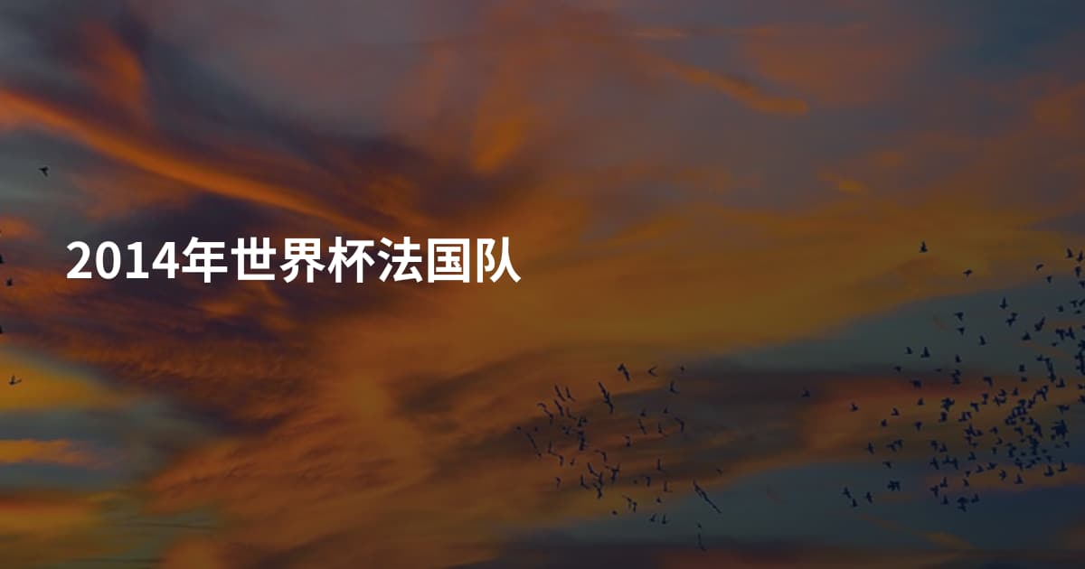 2014年世界杯法国队