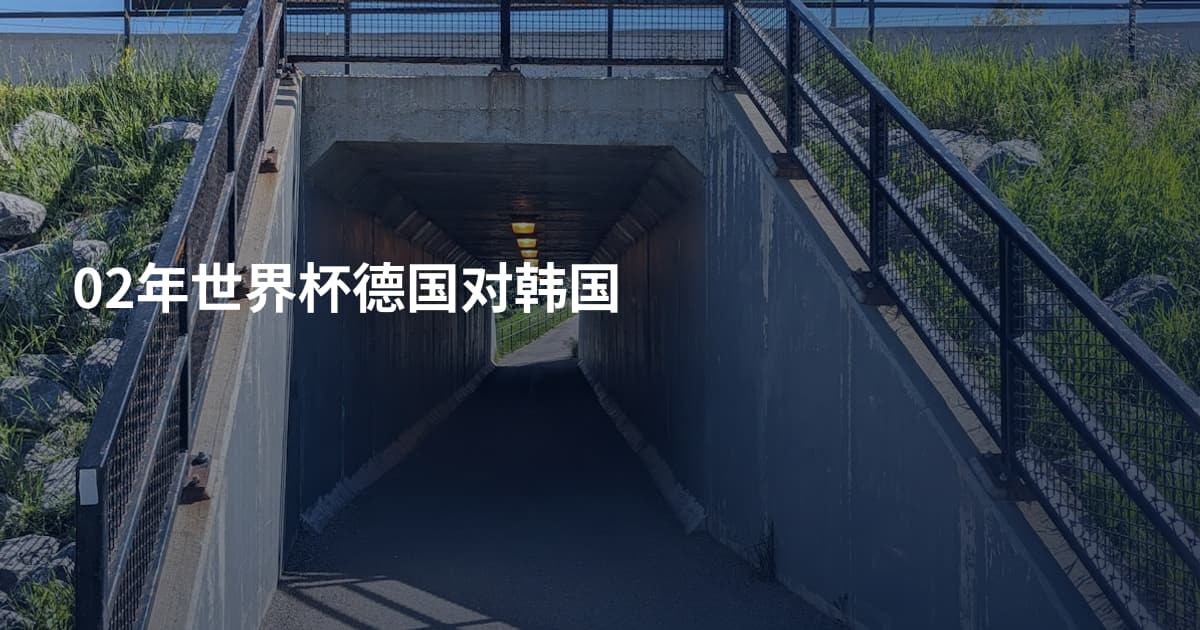 02年世界杯德国对韩国