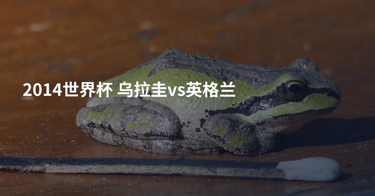 2014世界杯 乌拉圭vs英格兰