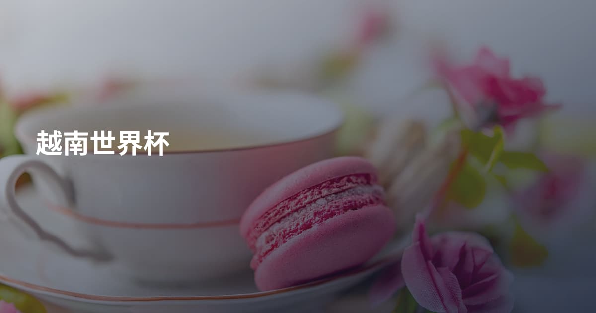 越南世界杯