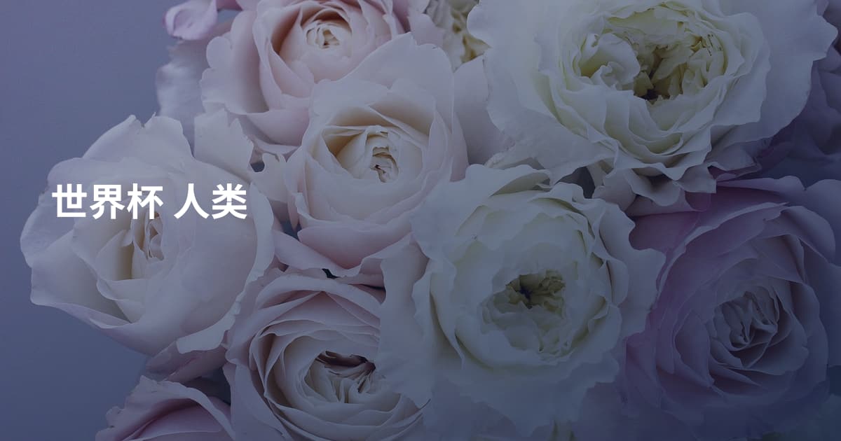 世界杯 人类