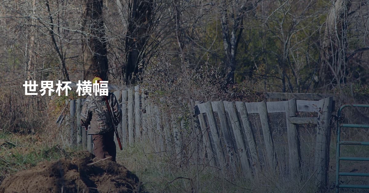 世界杯 横幅