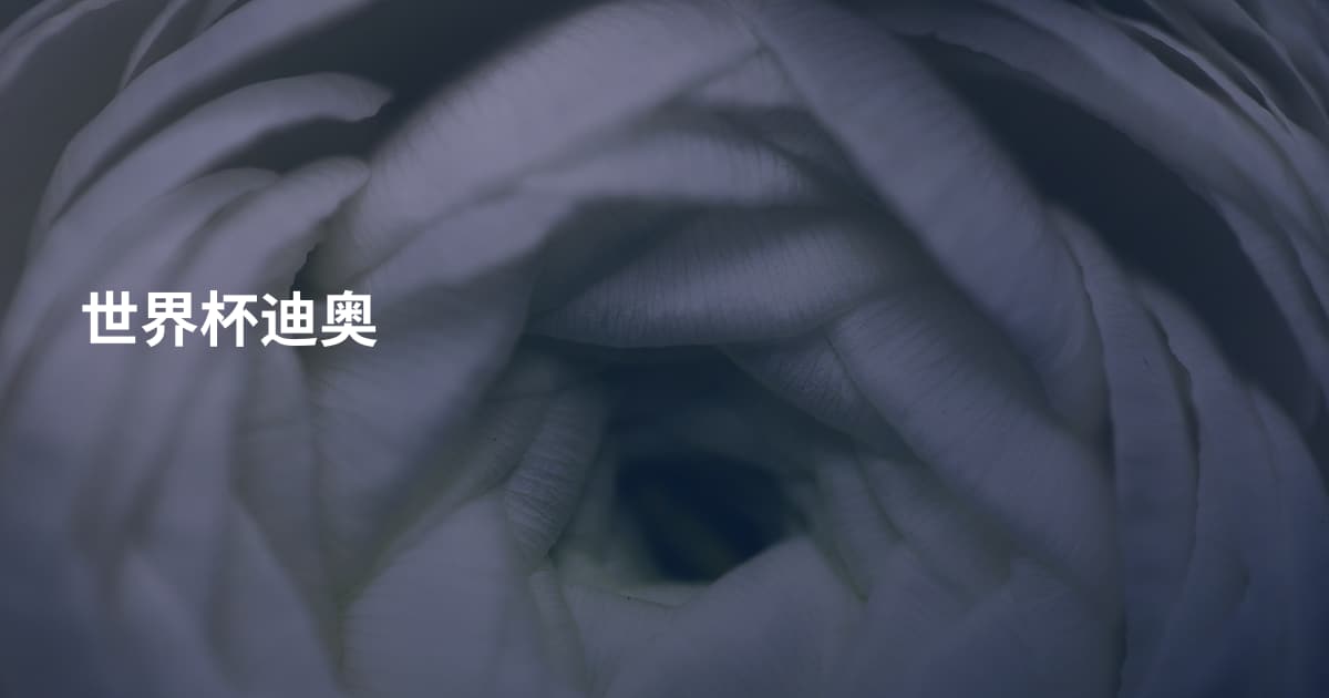 世界杯迪奥