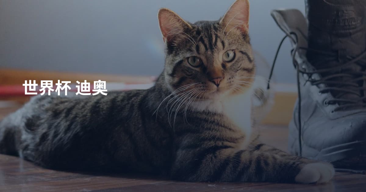 世界杯 迪奥