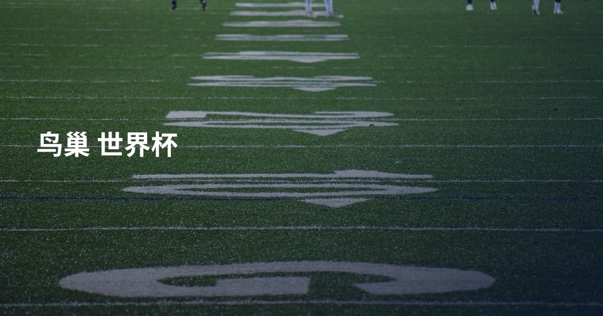鸟巢 世界杯
