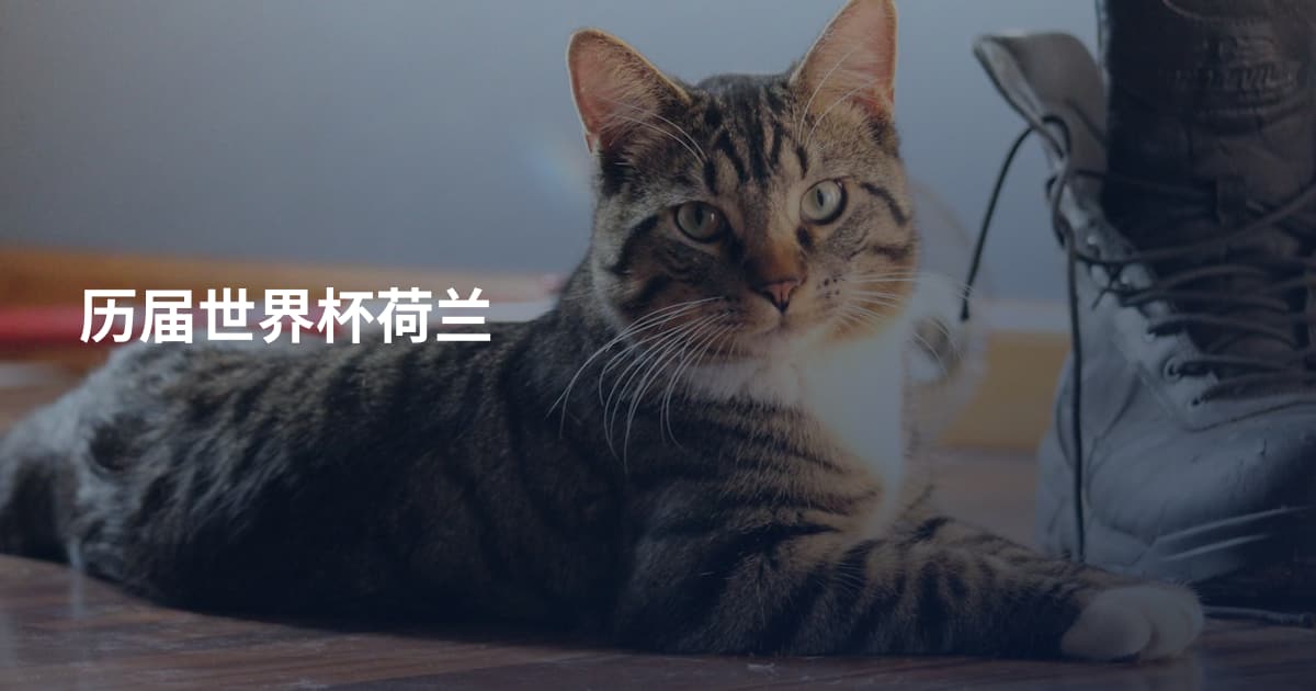 历届世界杯荷兰