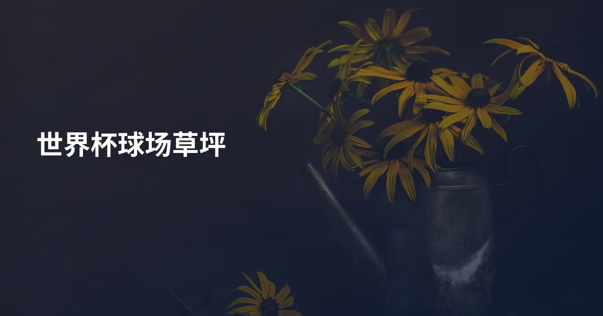 世界杯球场草坪