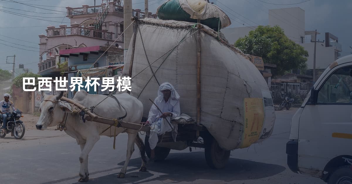 巴西世界杯男模