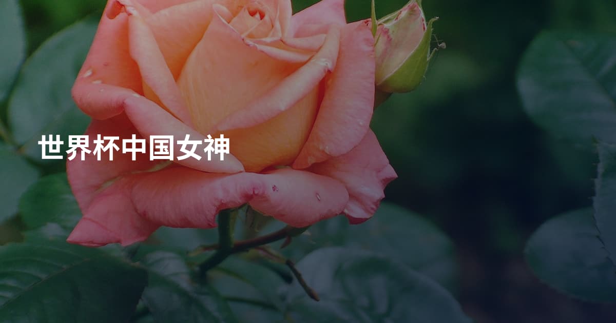 世界杯中国女神