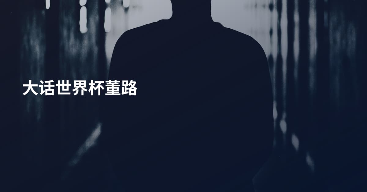 大话世界杯董路