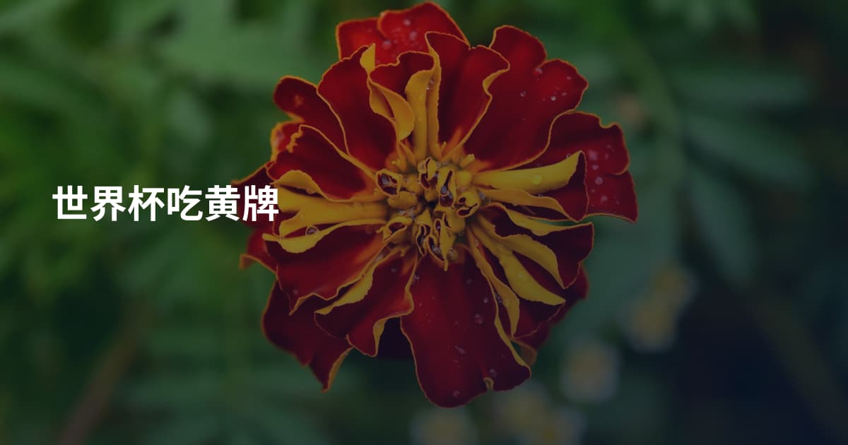 世界杯吃黄牌