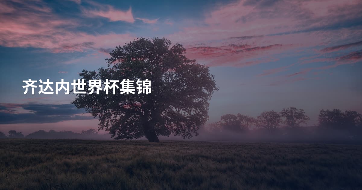 齐达内世界杯集锦