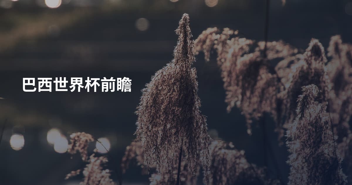 巴西世界杯前瞻