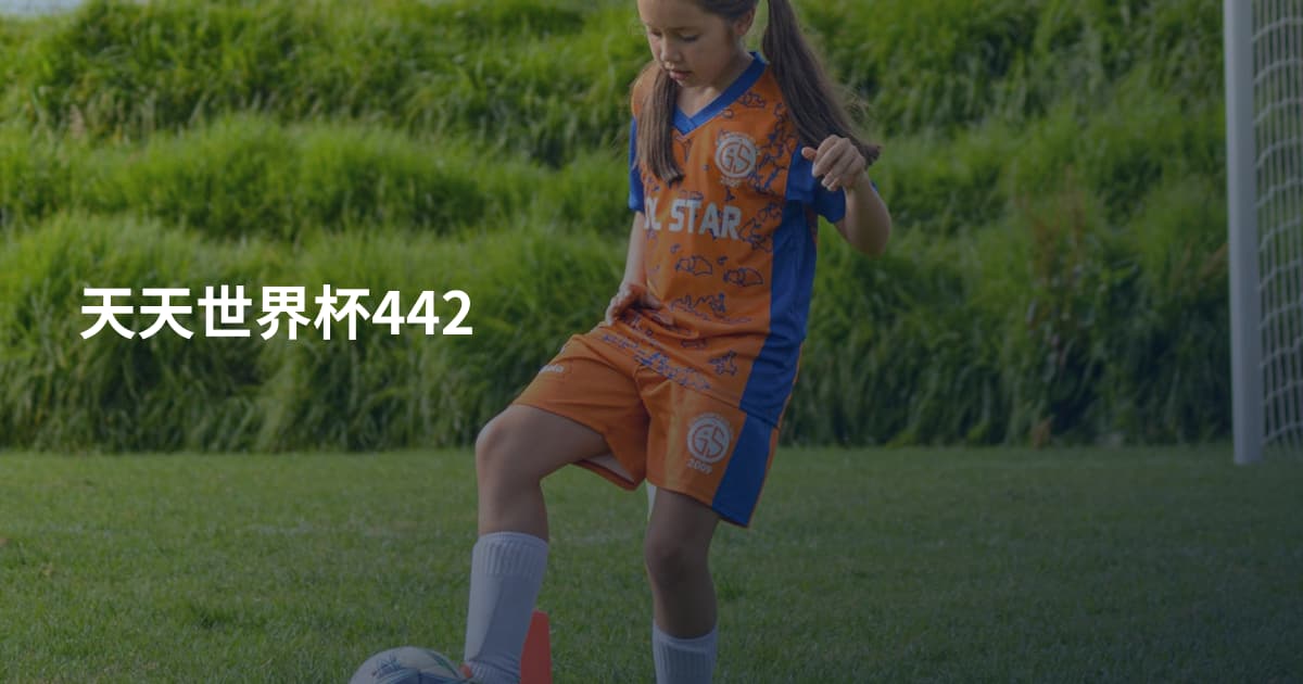 天天世界杯442