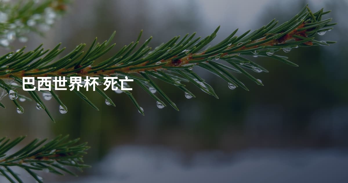 巴西世界杯 死亡