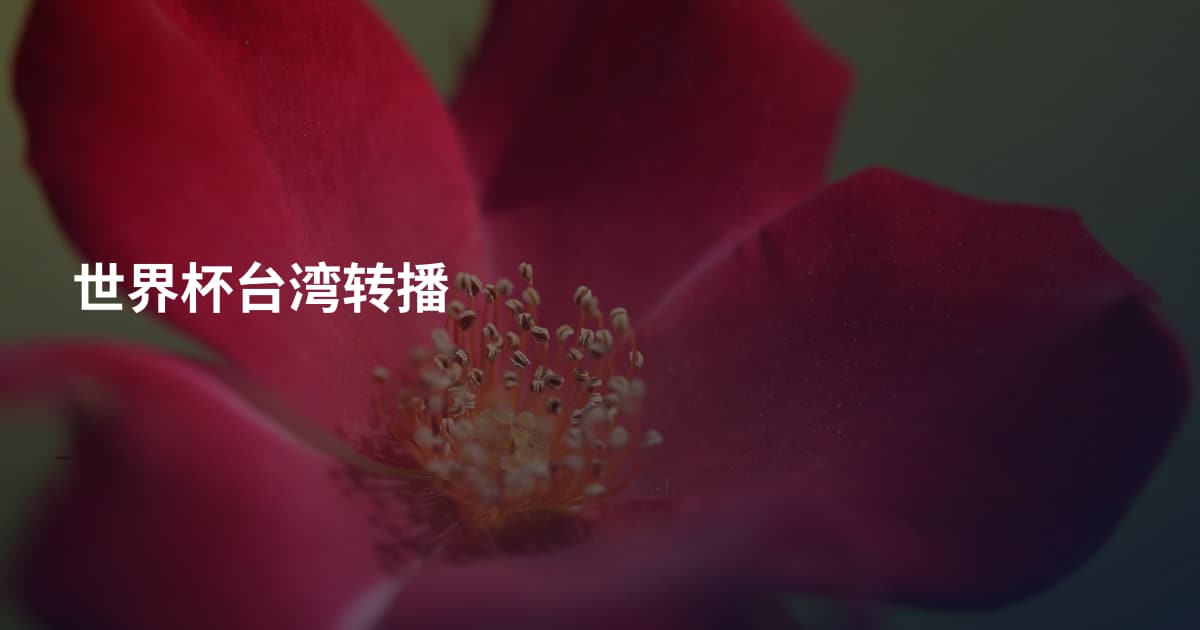 世界杯台湾转播