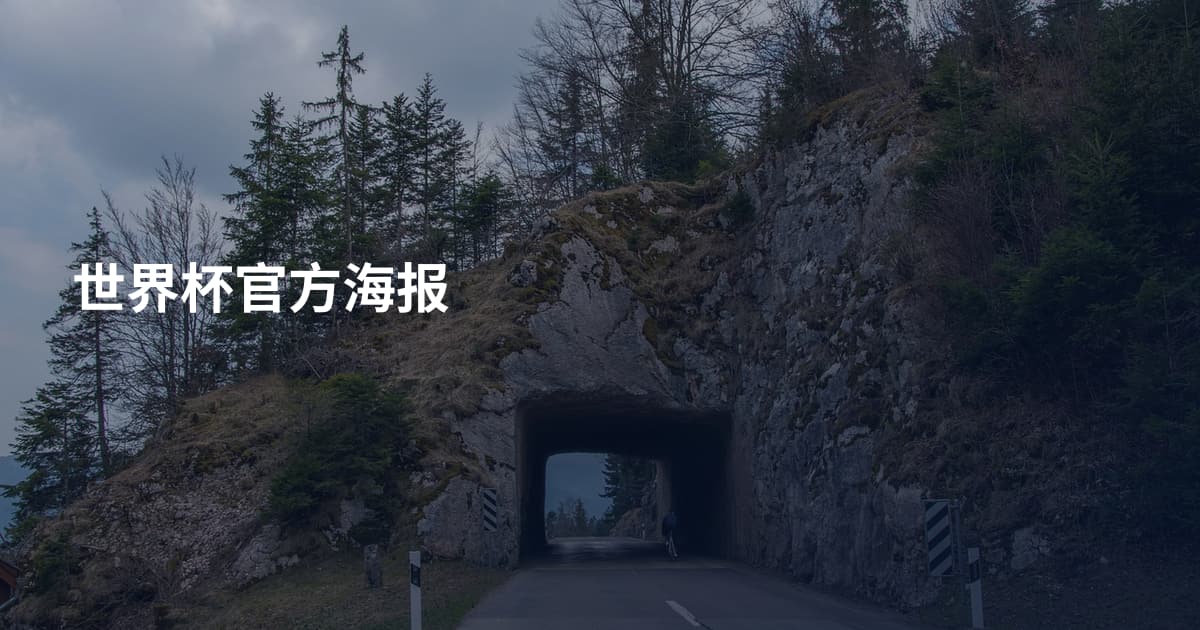 世界杯官方海报