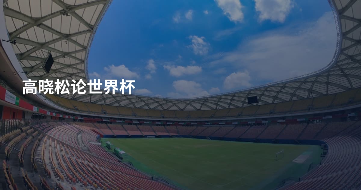 高晓松论世界杯