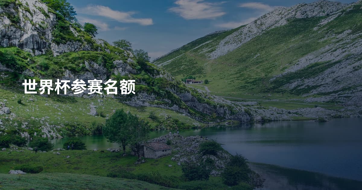 世界杯参赛名额