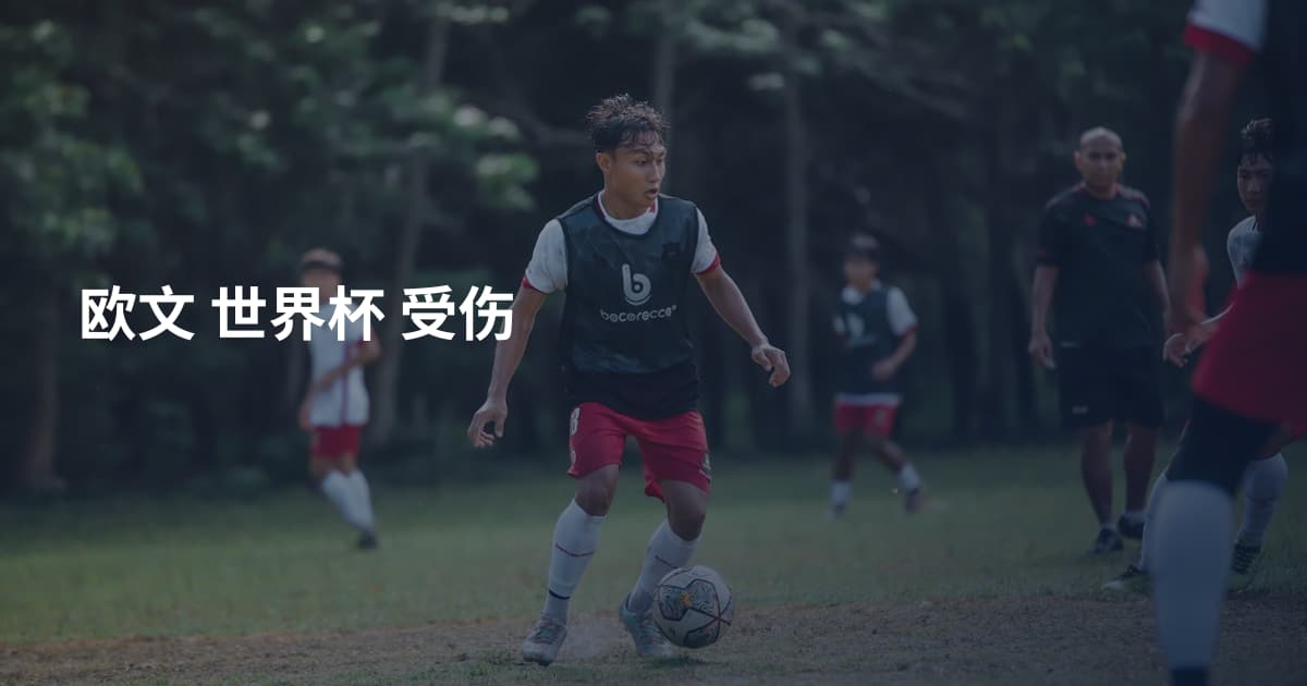 欧文 世界杯 受伤