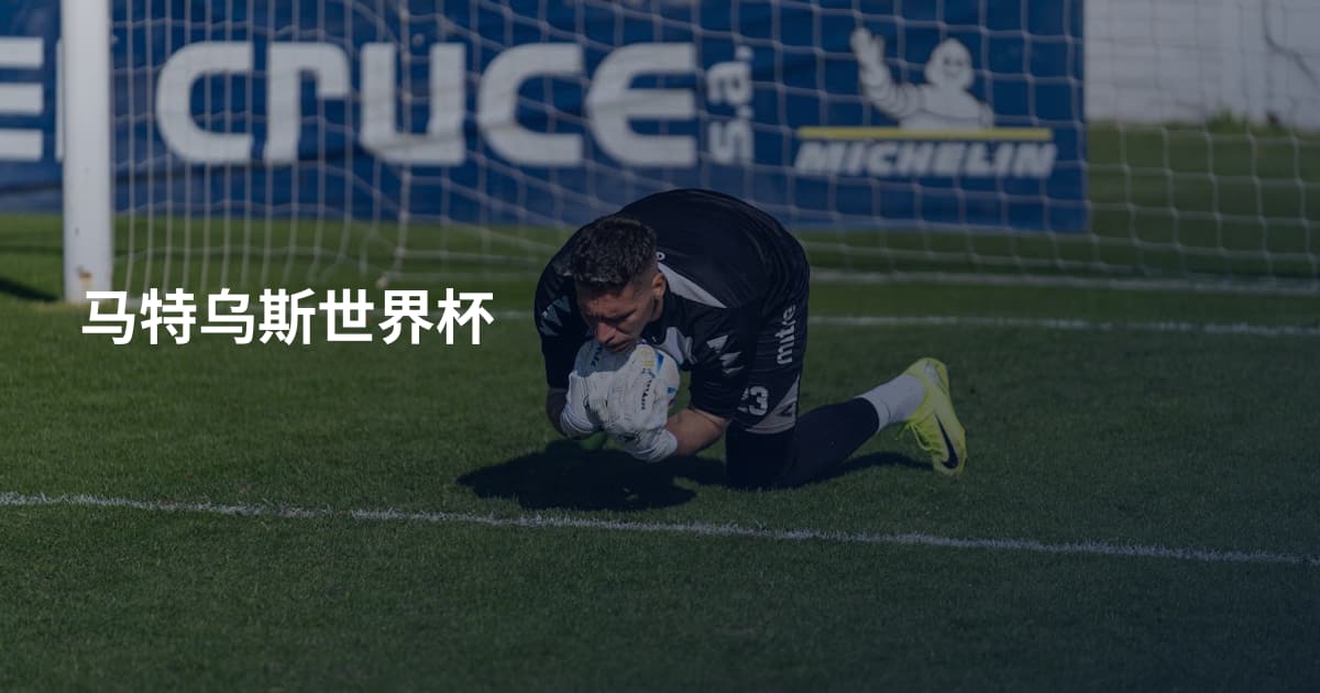 马特乌斯世界杯