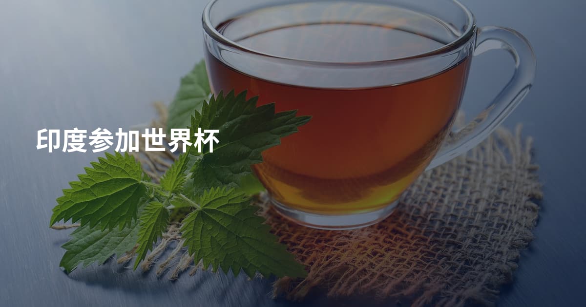 印度参加世界杯