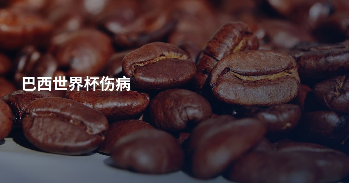 巴西世界杯伤病