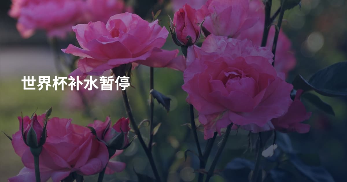 世界杯补水暂停