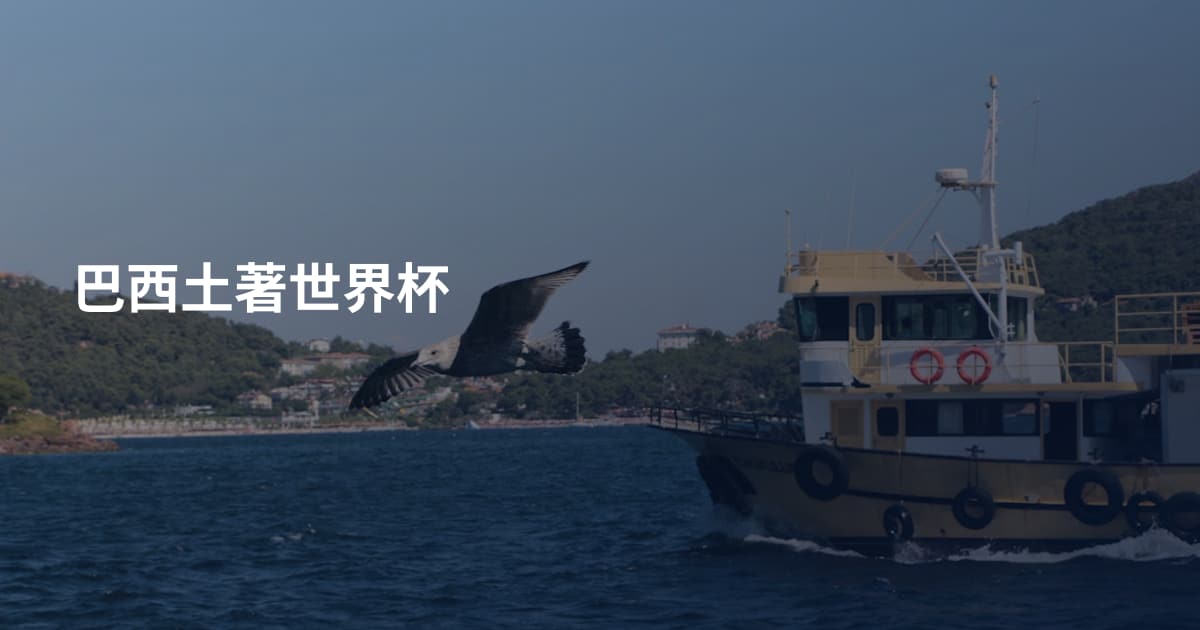 巴西土著世界杯