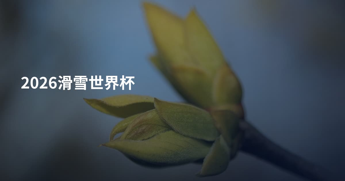 2026滑雪世界杯