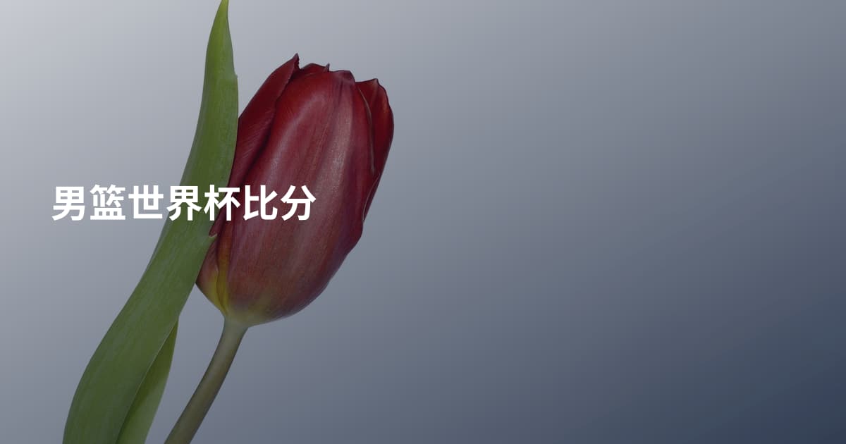 男篮世界杯比分