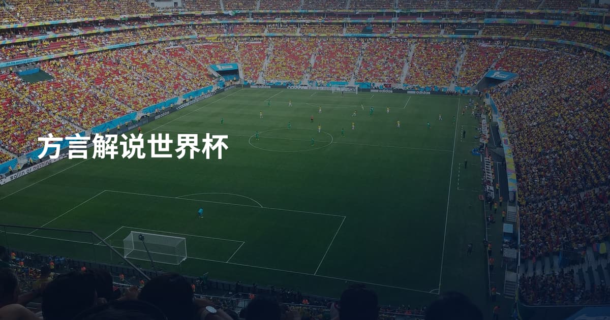 方言解说世界杯