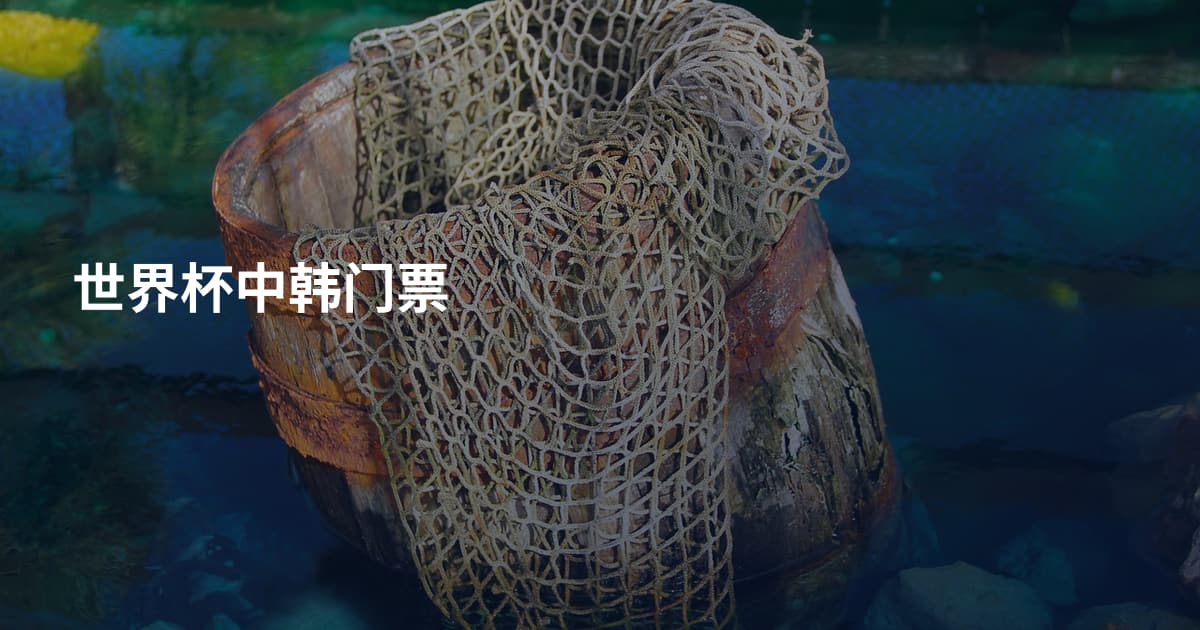 世界杯中韩门票