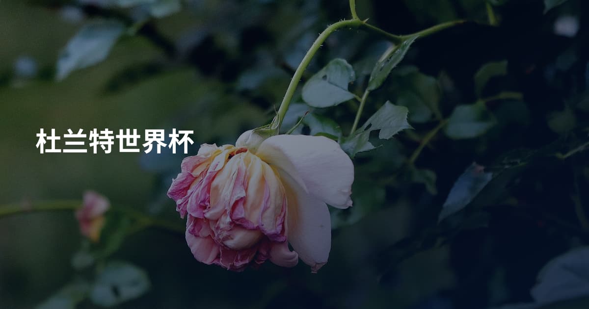 杜兰特世界杯