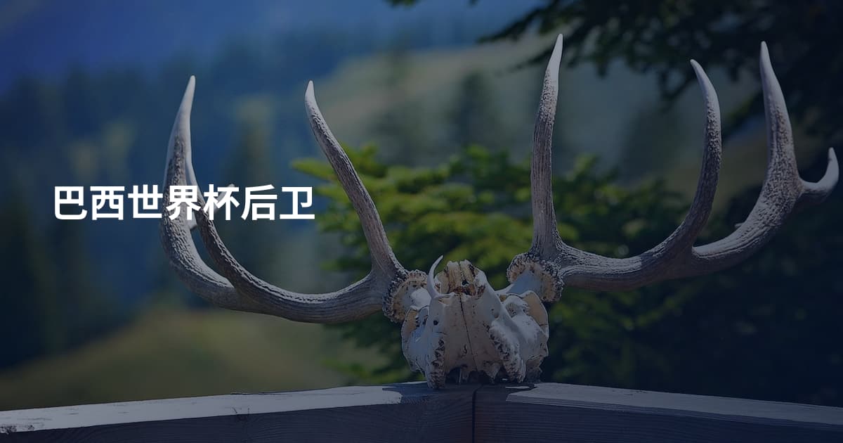 巴西世界杯后卫