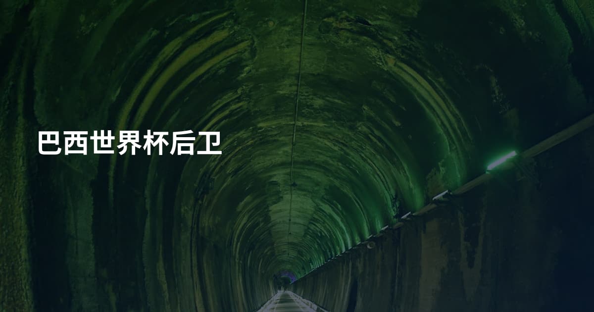 巴西世界杯后卫