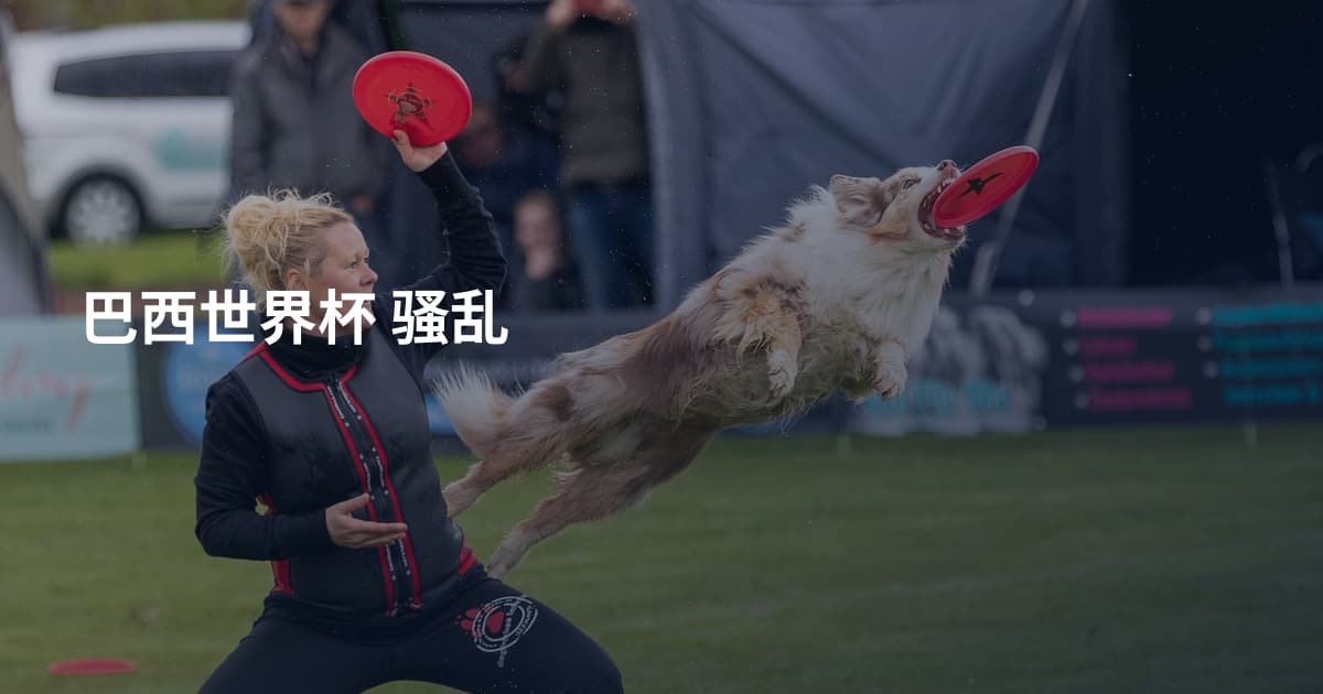 巴西世界杯 骚乱