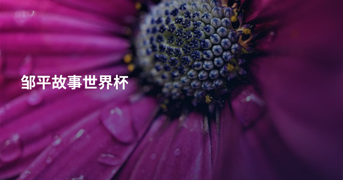 邹平故事世界杯