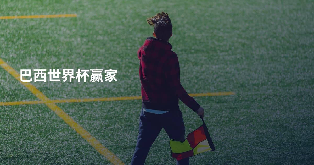 巴西世界杯赢家