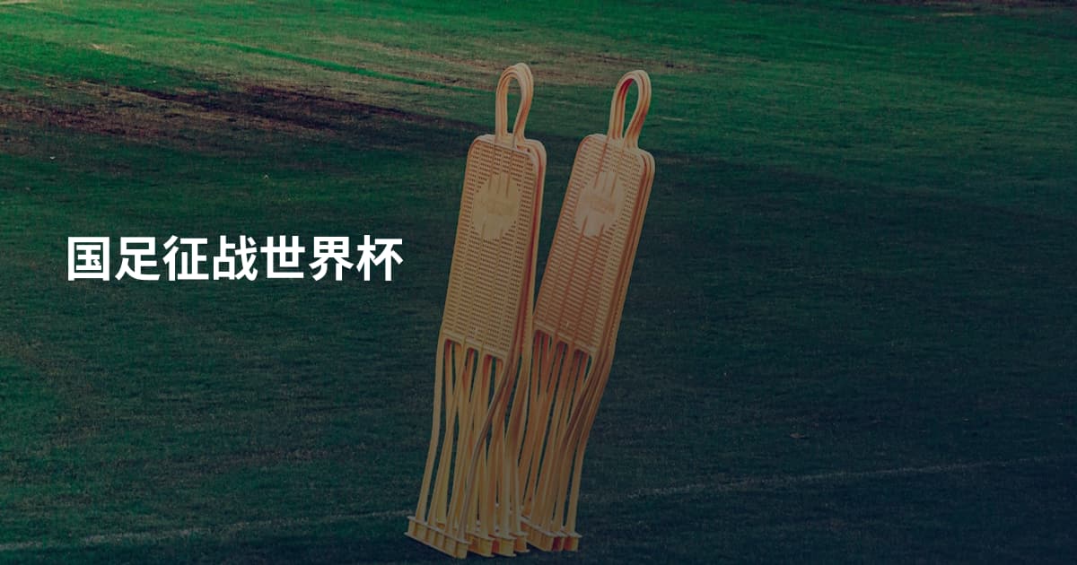 国足征战世界杯