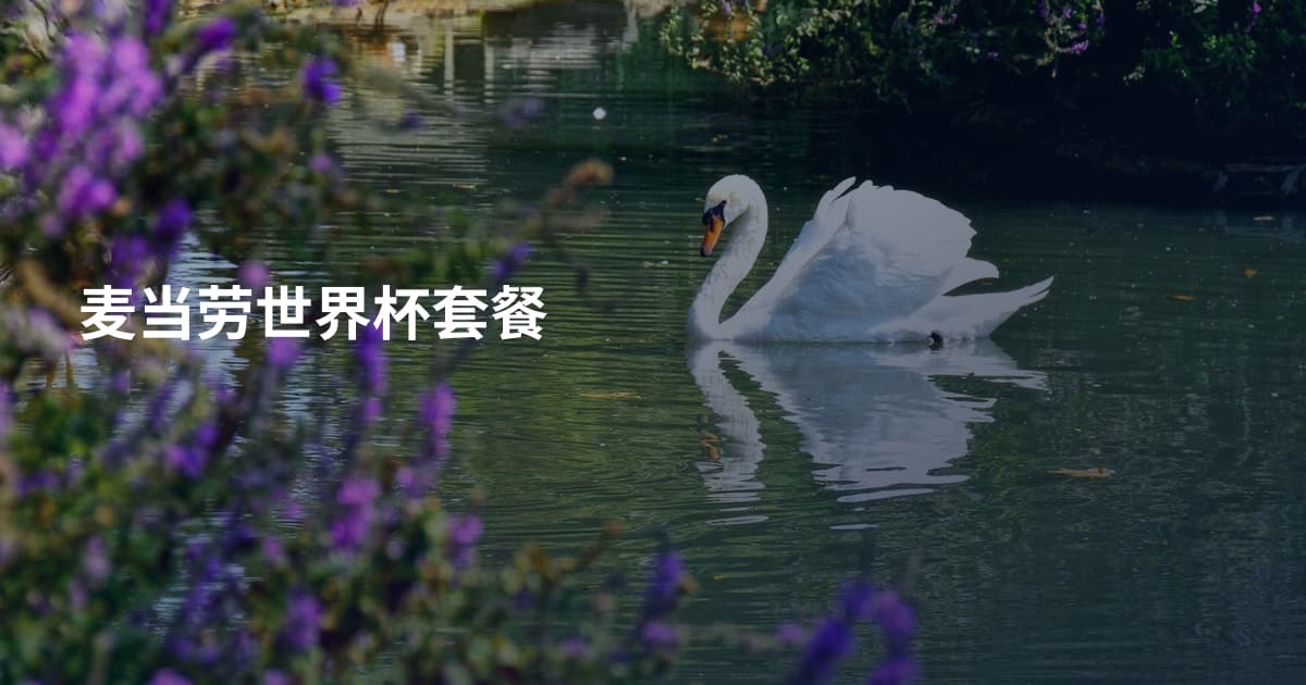 麦当劳世界杯套餐