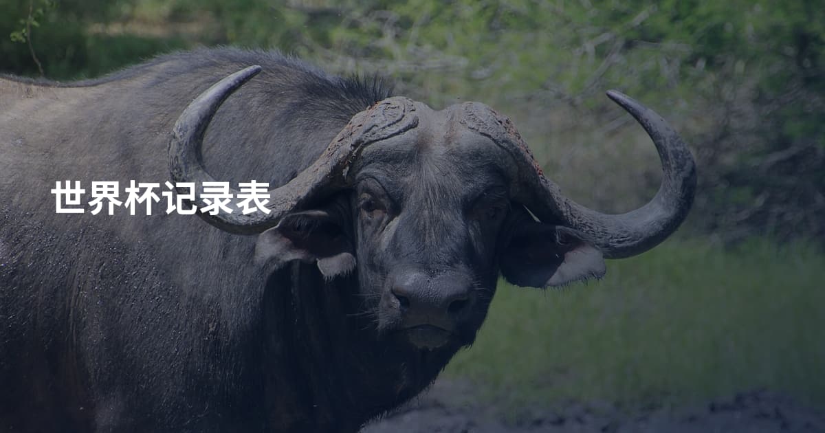 世界杯记录表