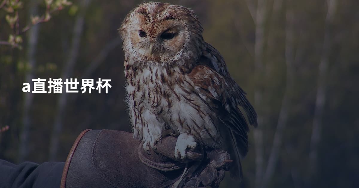 a直播世界杯