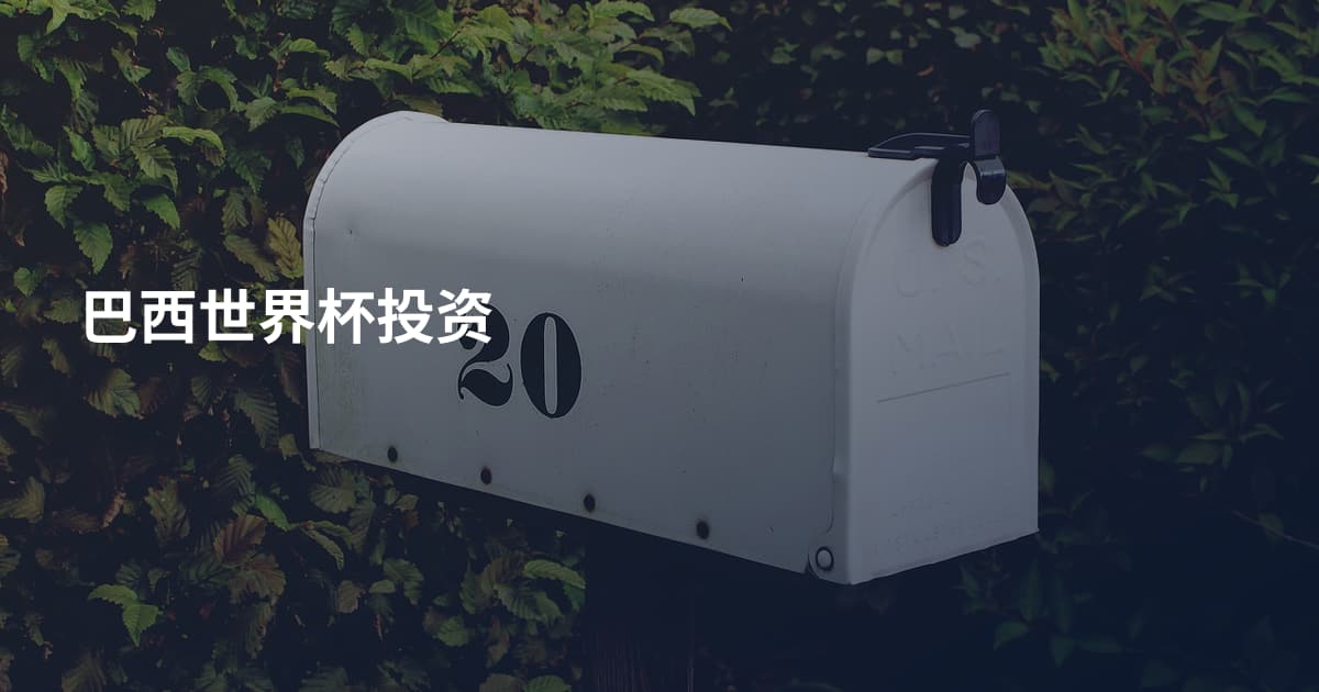 巴西世界杯投资