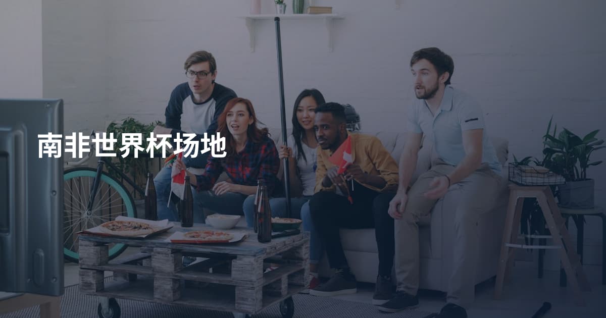南非世界杯场地