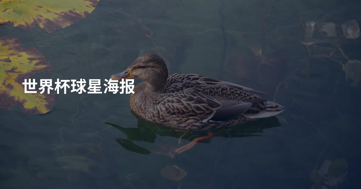 世界杯球星海报