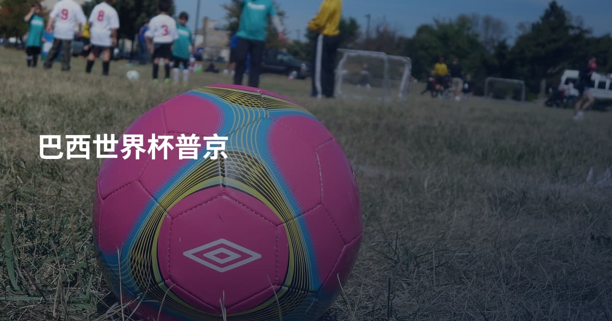巴西世界杯普京
