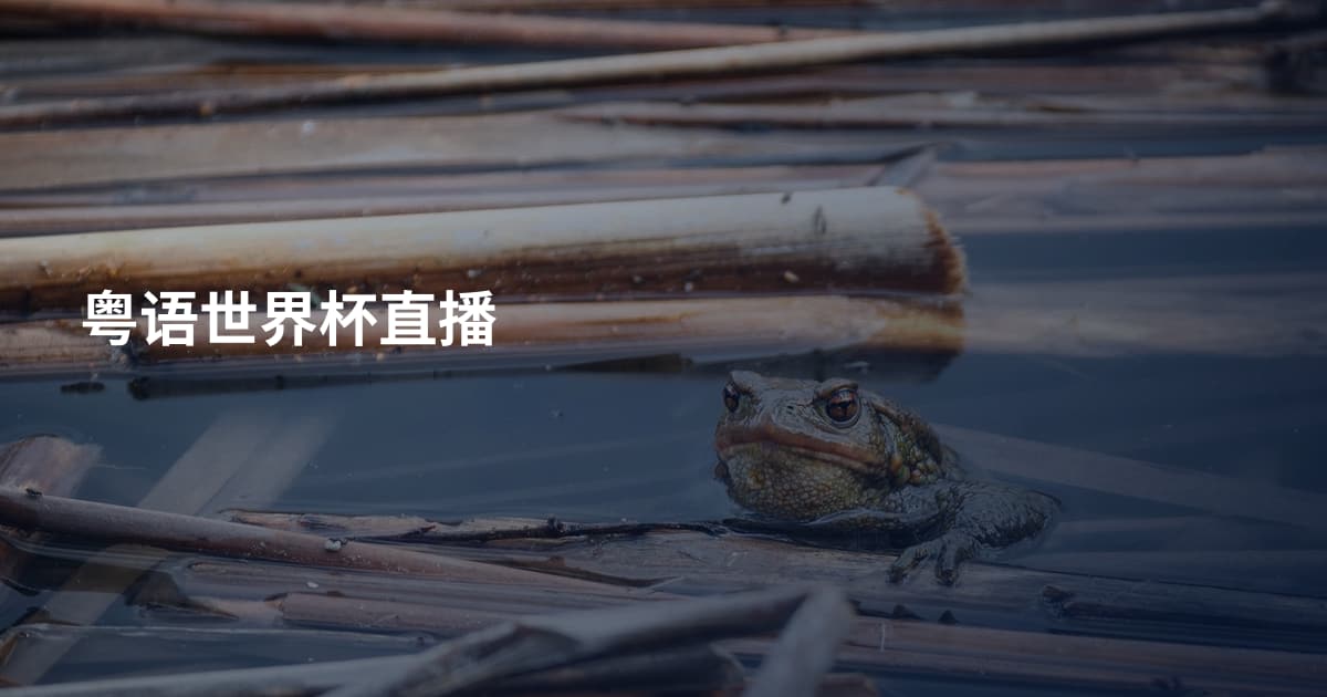 粤语世界杯直播