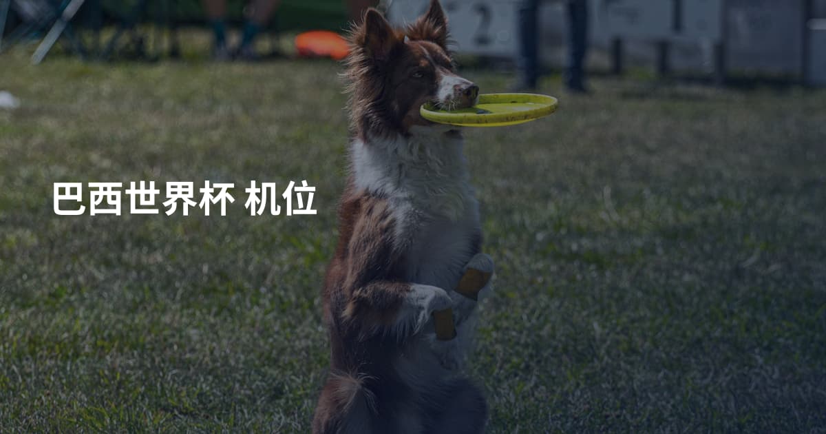 巴西世界杯 机位